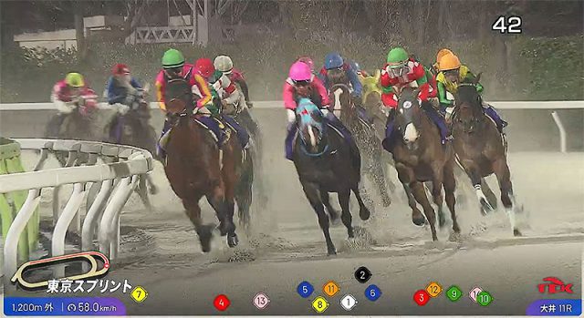 東京シティ競馬 TCK に4・6・12人のグループ席 爆誕！ グルメモバイルオーダーやトラッキングビューで楽しさブースト！ 東京ダービーの興奮度も人数倍